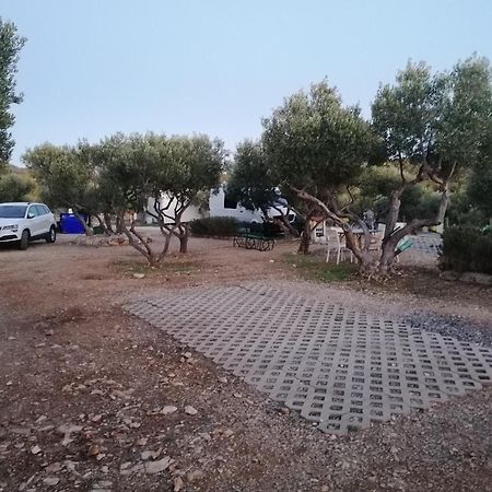 Camp Kopito Hotel Hvar Town Exterior photo
