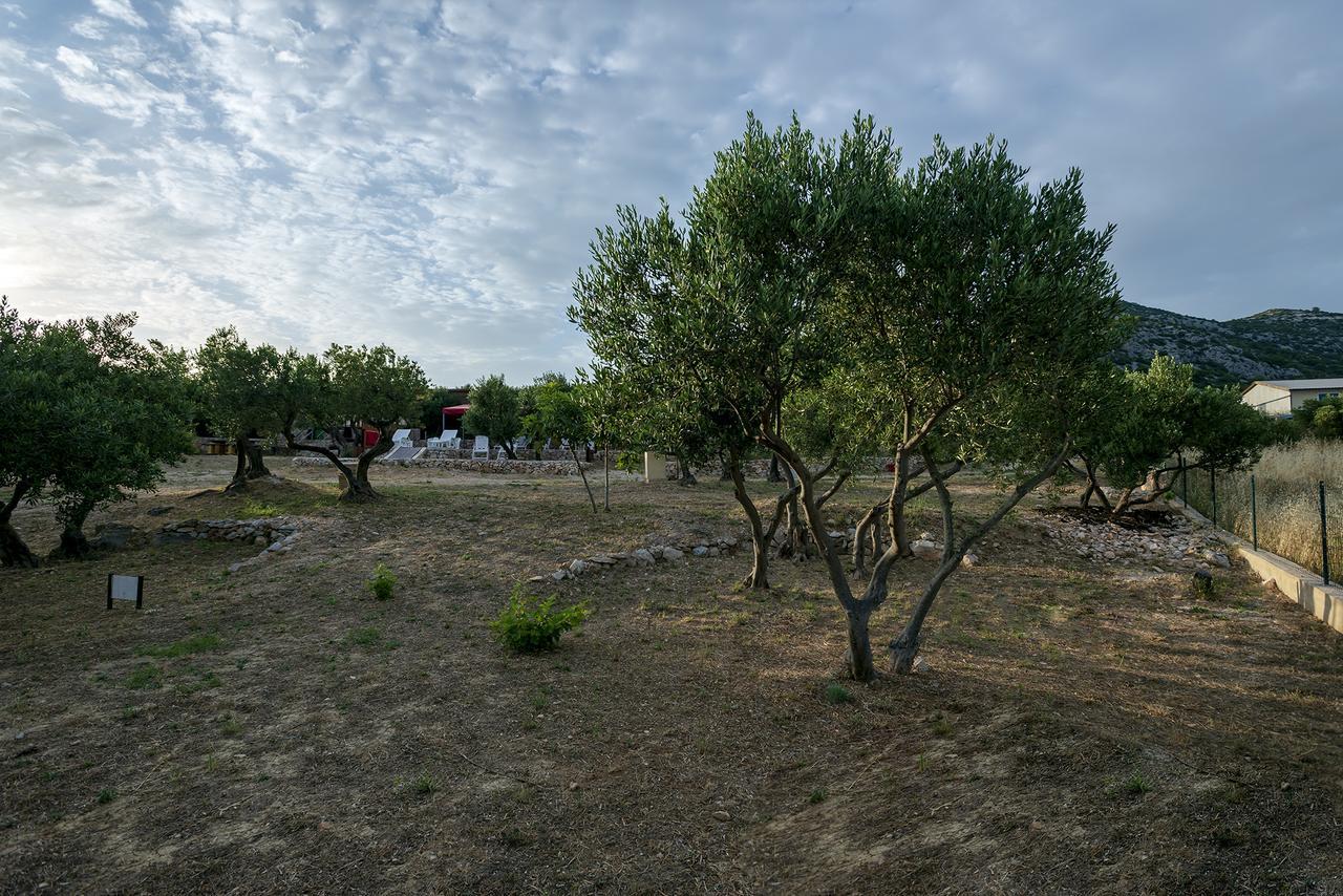 Camp Kopito Hotel Hvar Town Exterior photo